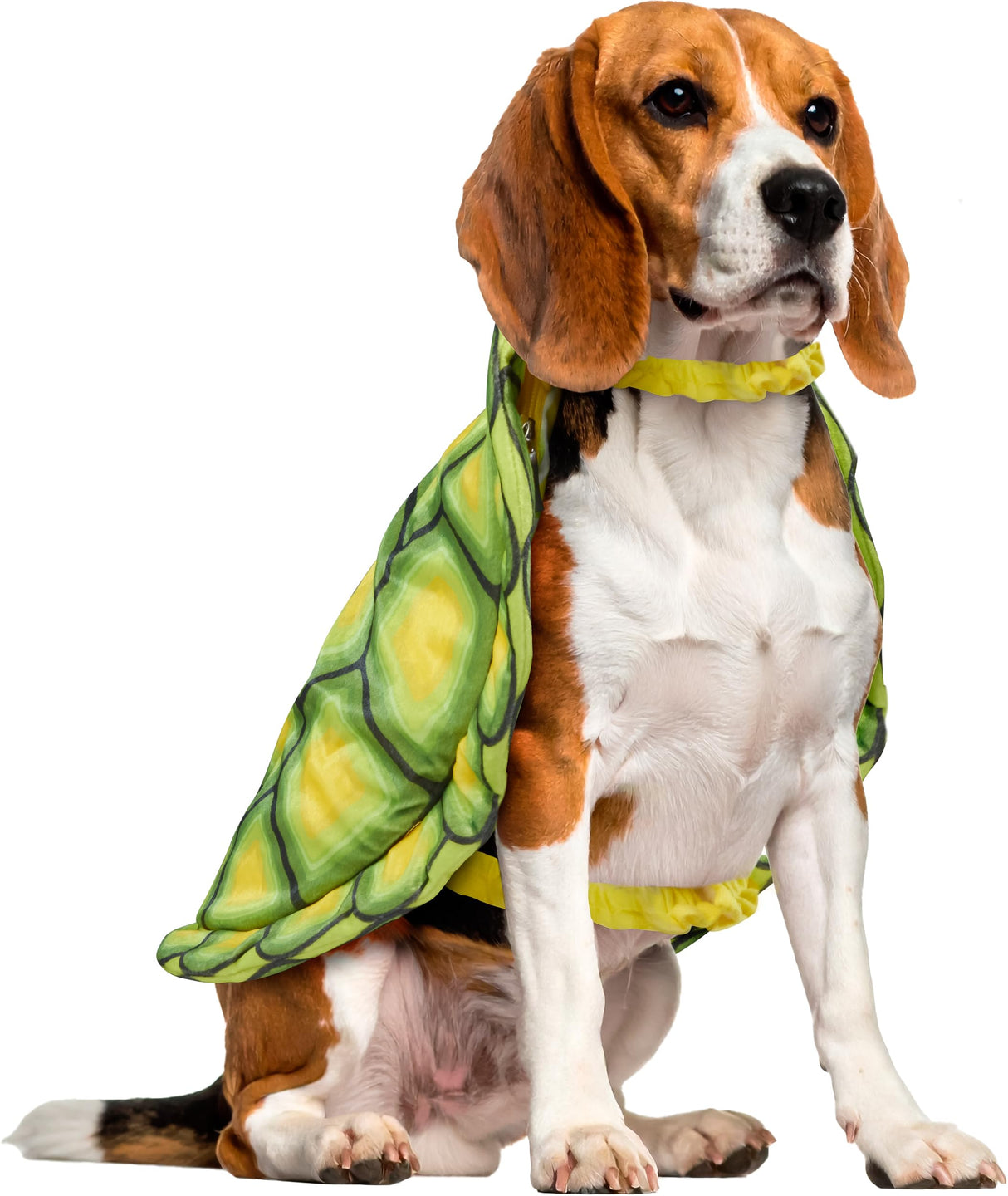 Rubies Turtle Shell Pet Costume for Dogs or Cats, L/XL