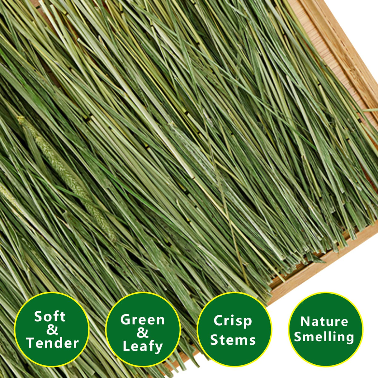 Ohcool Timothy Hay 1.1LB - Dust Free Natural Green Fresh Food Hay for Rabbits Tortoise Guinea Pig Chinchilla