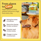 TherapetMD 2-Pack 120-Days Dog Calming Diffuser Kits - Dog Pheromone Diffuser for Stress, Destructive Behavior, Pee Accidents, Separation Anxiety, Aggression & Chewing - Each Include 120-Days Refills
