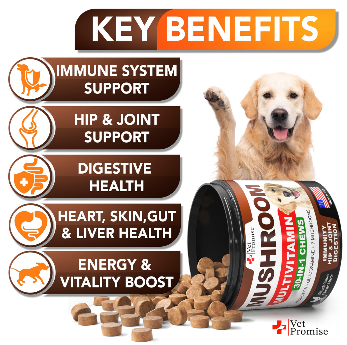 Turkey Tail Mushroom for Dogs - 170 Chews - Mushroom Supplement for Dogs - Lions Mane - Reishi - Immunity Support Multivitamin Vitamins - Joint Health - Energy - Gut - Skin - Made in USA