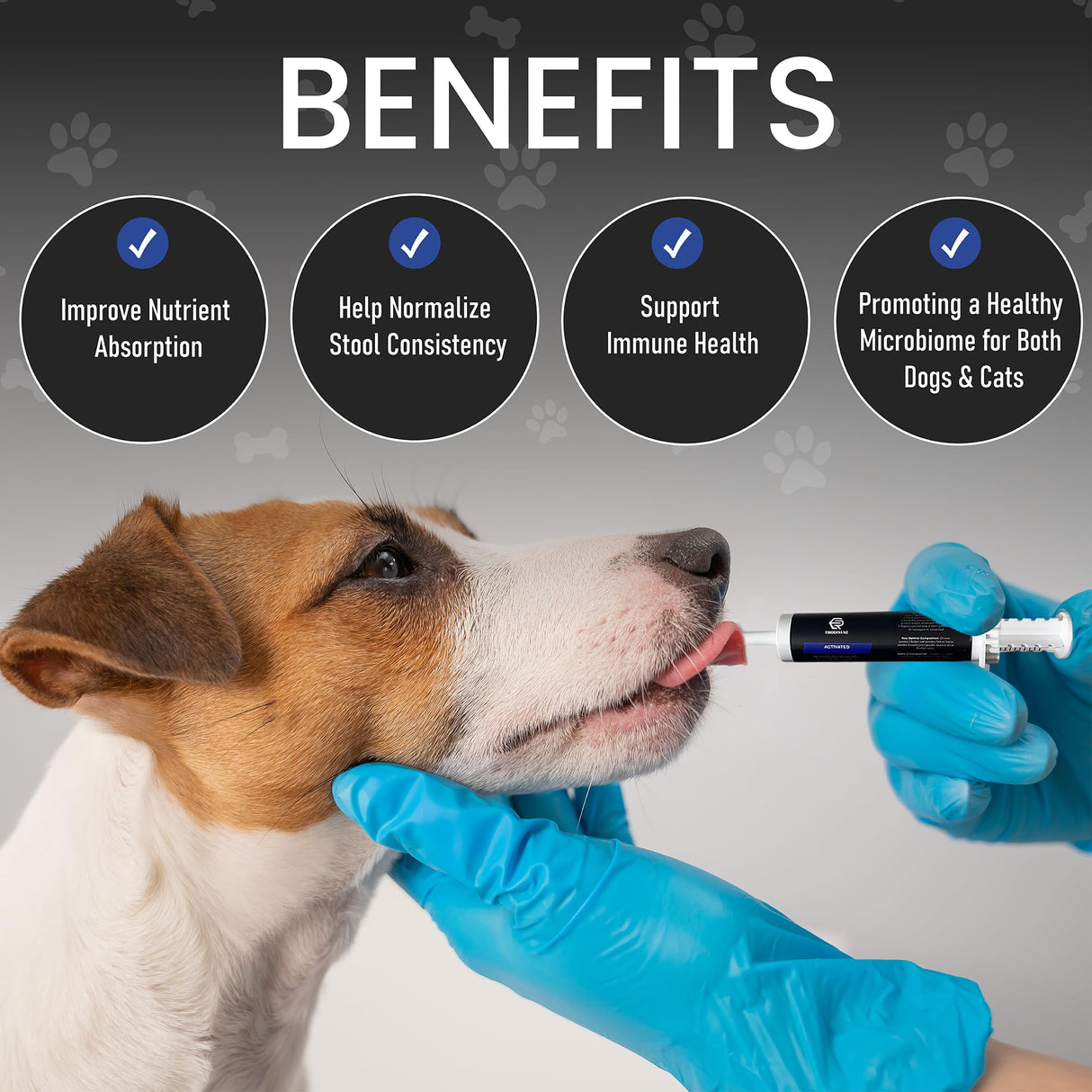 ERODISIAC - Activated Charcoal First Aid Kit Emergency Rescue for Dogs, Cats, Oral Paste for Dogs, Poisoning Kit, Oral Anti Diarrhea Digestive Paste Ready to Absorb Toxins