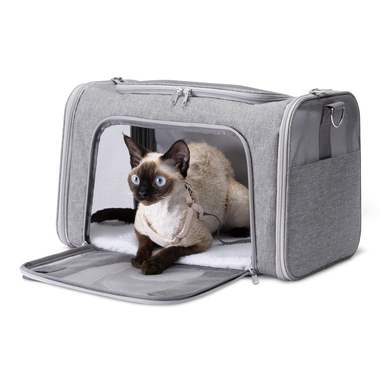 Amazon Basics Soft Cat & Dog Carrier with Adjustable Shoulder Strap, Airline-Approved, Foldable and Portable Design, Mesh Ventilation, Folds Flat for Storage