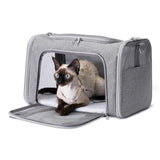 Amazon Basics Soft Cat & Dog Carrier with Adjustable Shoulder Strap, Airline-Approved, Foldable and Portable Design, Mesh Ventilation, Folds Flat for Storage