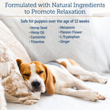 Rx Vitamins NutriCalm - Calming Care for Dogs with Valerian Root, Tryptophan, & Ashwagandha - Aids in Separation Anxiety Relief for Dogs and Stress Relief - Road Trip Essentials & Relaxant - 50ct