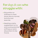 Super Snouts Joint Power 100% Green Lipped Mussels for Dogs & Cats - Dog Joint Supplement Powder Supports Joints, Tendons, Ligaments (2.64 oz)