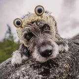 Zoo Snoods Frog Costume - Knit Dog Snood Ear Wrap for Pets, Warm Neck Cover for Halloween and Winter (Medium)