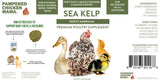 Kelp for Chickens & Duck Feed (1 Pound): Chicken Vitamins | Chicken Supplements | Vitamins for Chickens | Pampered Chicken Mama