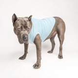 Big Sister to My Little Human Dog Tee Shirt | Sleeveless | Pregnancy Announcement | New Baby | Gender Reveal | Photoshoot (Baby Blue, X-Small 192)