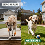 Carpromax for Large Dogs Pain Relief, Joint Support & Mobility for Senior Dogs, 100mg, 100 Tablets