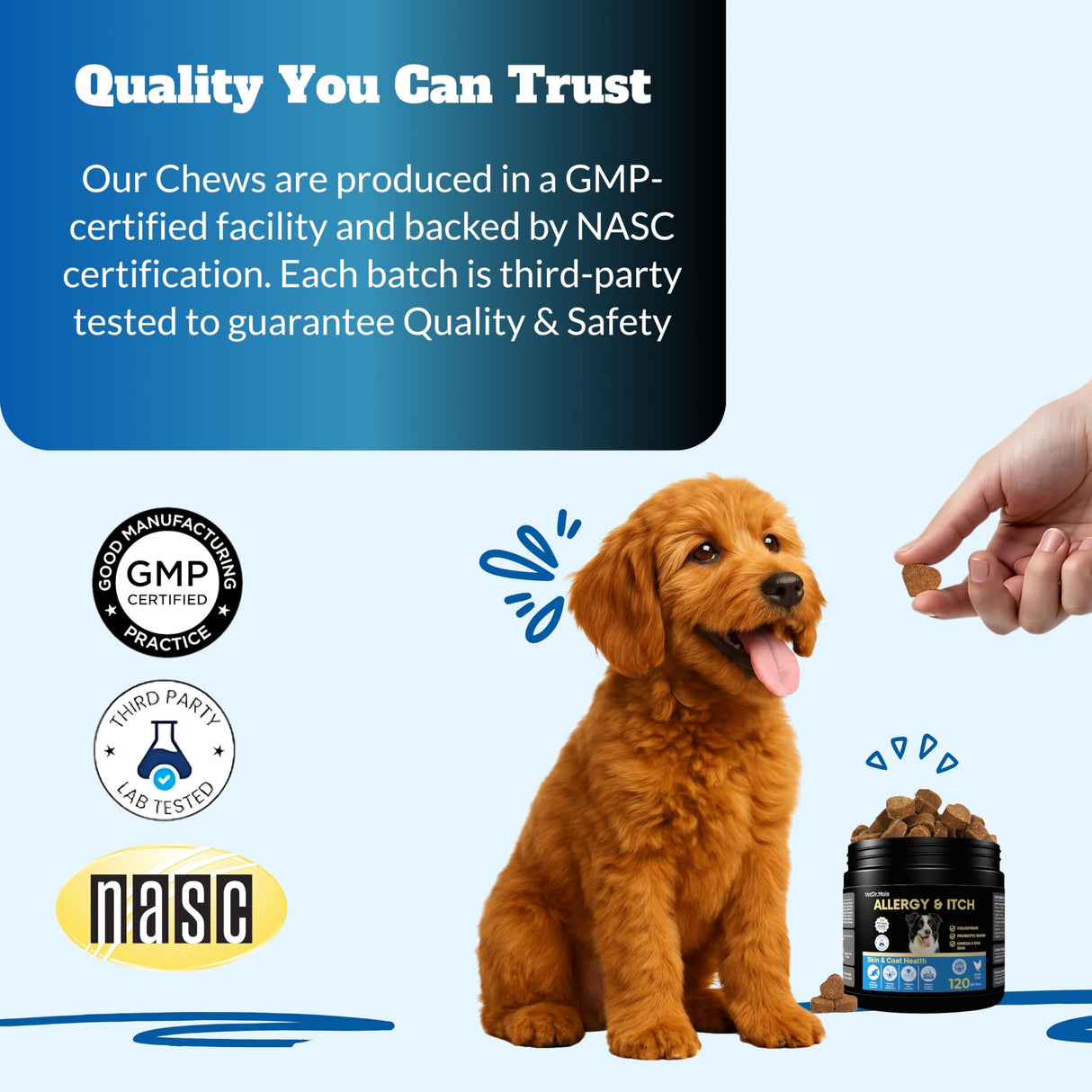 Dog Allergy Itch Relief Chews Supplement – Itchy Skin, Hot Spot & Dry Skin Support for Paw Licking, Anti-Itch Allergy Chews with Fish Oil, Colostrum & Probiotics – 120 Ct