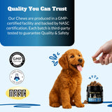 Dog Allergy Itch Relief Chews Supplement – Itchy Skin, Hot Spot & Dry Skin Support for Paw Licking, Anti-Itch Allergy Chews with Fish Oil, Colostrum & Probiotics – 120 Ct