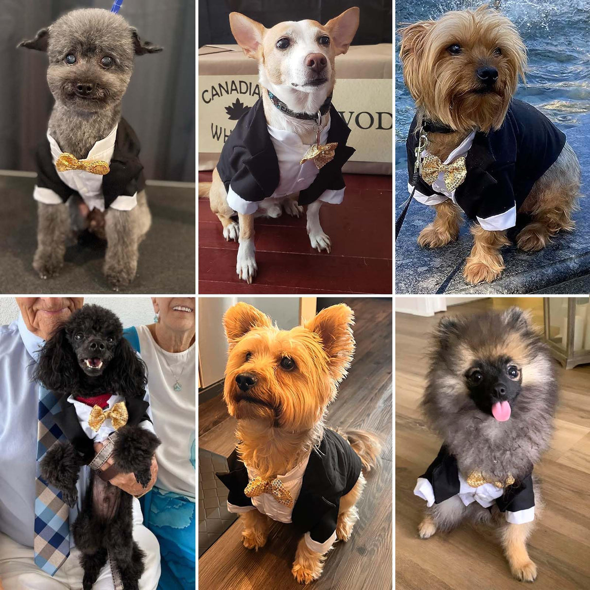 Dog Tuxedo, Formal Pet Clothes Shirt Costume Wedding Attire Party Bow Tie Suit, Pet Outfit for Small Medium Large Dogs Cats, Halloween Pet Costumes Birthday Puppy Clothing Christmas Apparel (XL)