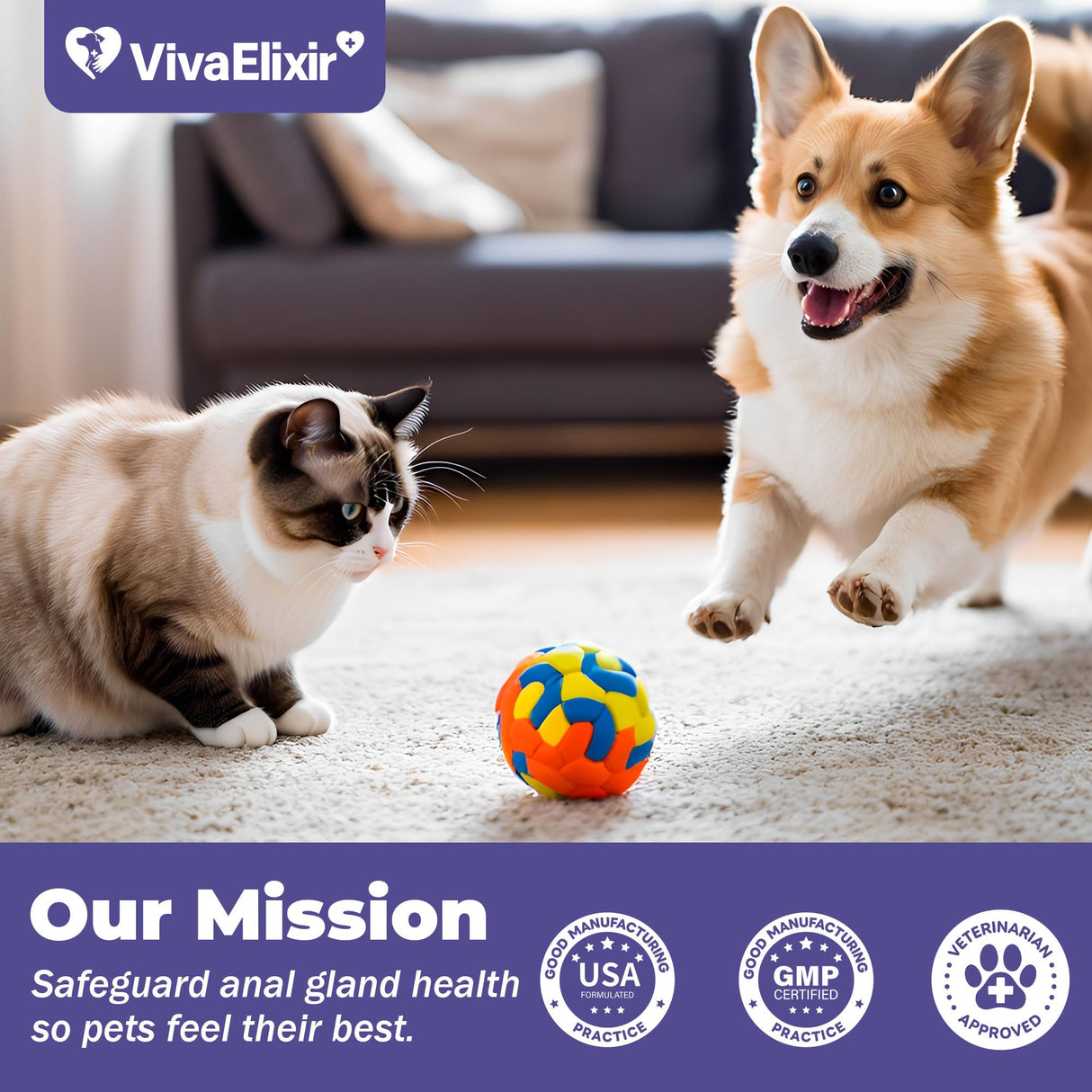 VivaElixir Anal Gland Support for Dogs - Dog Constipation Relief - Anal Gland Chew Alternative - Anal Gland Relief for Dogs, Scooting Relief & Healthy Intestinal Function - 3-Pack