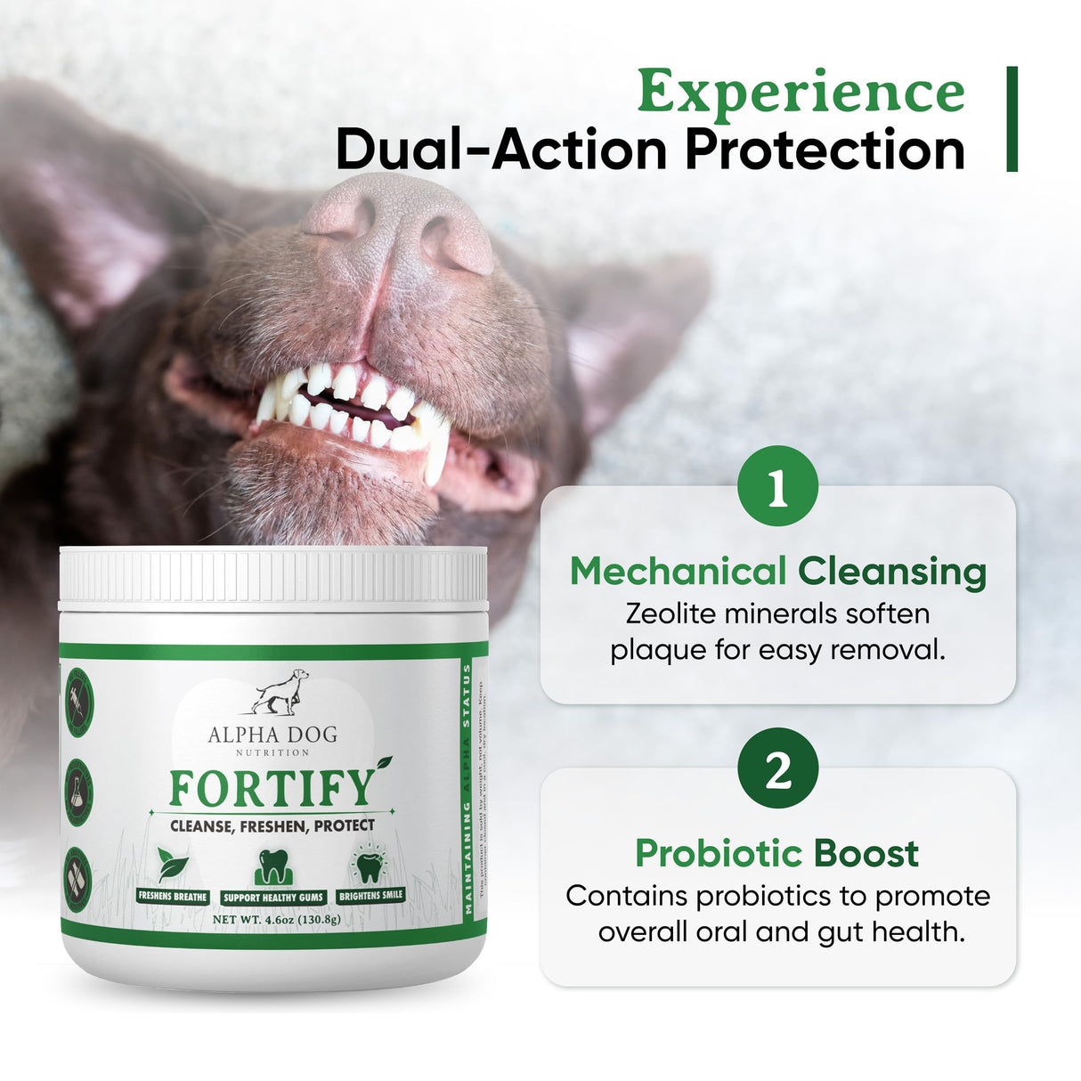 Dog Teeth Cleaning Powder - Fortify Dental Powder for Dogs - Plaque Remover and Freshens Bad Breath with Fresh Green Supplements - Contains Kelp, Probiotics, and Other Tooth Cleaning Ingredients