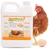 SEABUCK7 Chicken & Bird Supplement with Sea Buckthorn to Improve Egg Quality & Increase Egg Production (1-Month Supply for 20 Chickens)