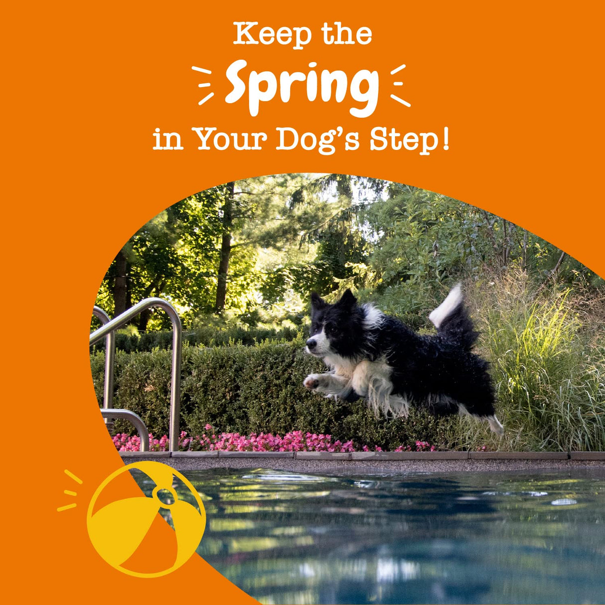 Zesty Paws Mobility Bites for Dogs, Hip and Joint, All Ages, Duck, 90 Soft Chews, 12.7 oz (360 g), Discontinued Listing DO NOT Buy