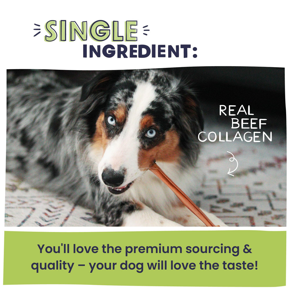 Pawstruck All Natural 11-12" Roasted Collagen Sticks for Dogs – Low Odor & Long-Lasting Bully Stick & Rawhide Alternative, Single Ingredient, Vet Approved – 5 Pack