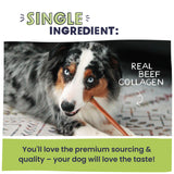 Pawstruck All Natural 11-12" Roasted Collagen Sticks for Dogs – Low Odor & Long-Lasting Bully Stick & Rawhide Alternative, Single Ingredient, Vet Approved – 5 Pack