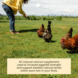 Scratch and Peck Limestone Supplement for Chickens and Ducks - High in Calcium, Made from Pure and Sustainably Sourced Limestone - 8 lbs Bag