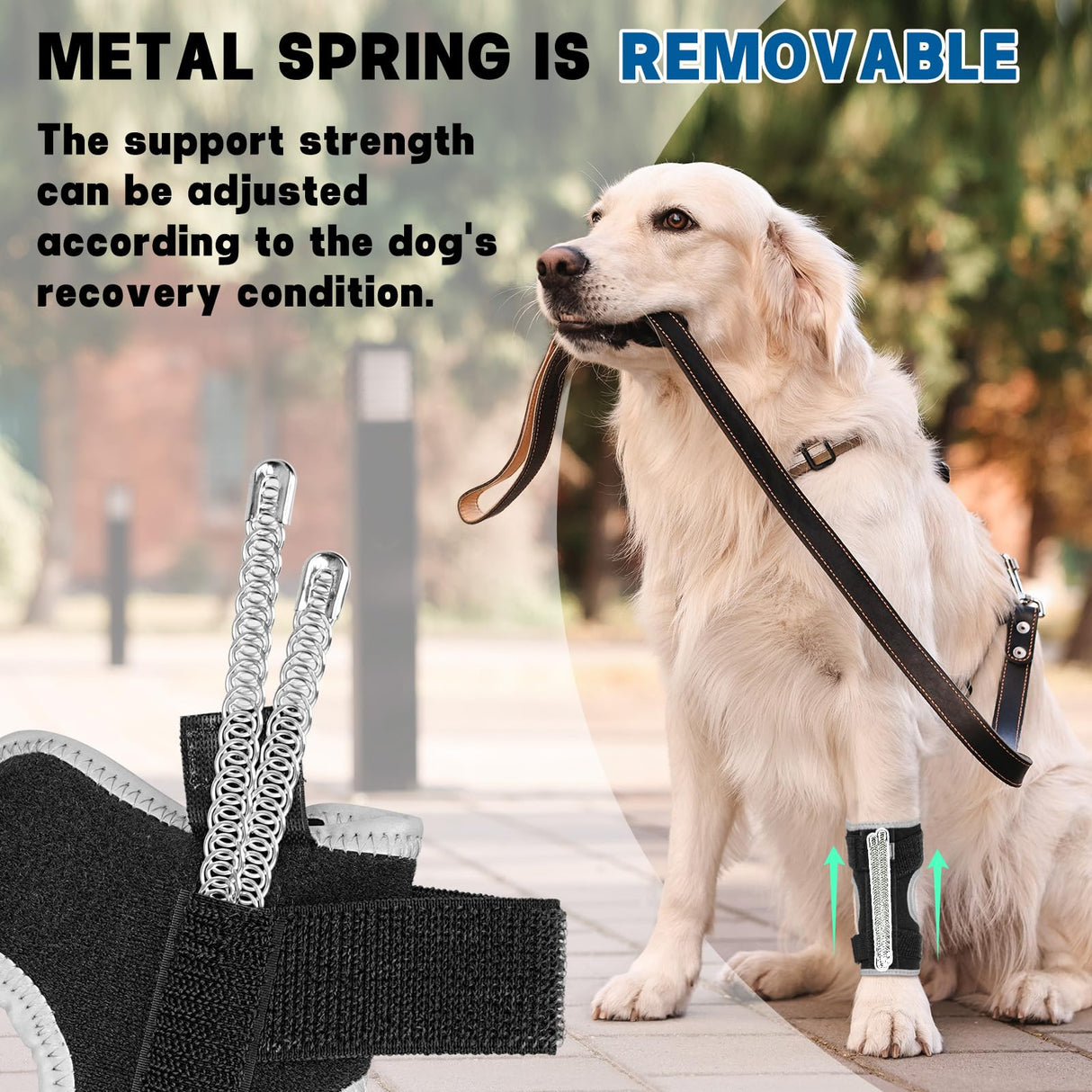 GoGoPaw Dog Front Leg Brace Adjustable, Ankle Support for Dog Wrist Brace Splint with Removable Dual Metal Springs & Reflective Edge for Arthritis, Sprains, and Injury Support (Black, M)