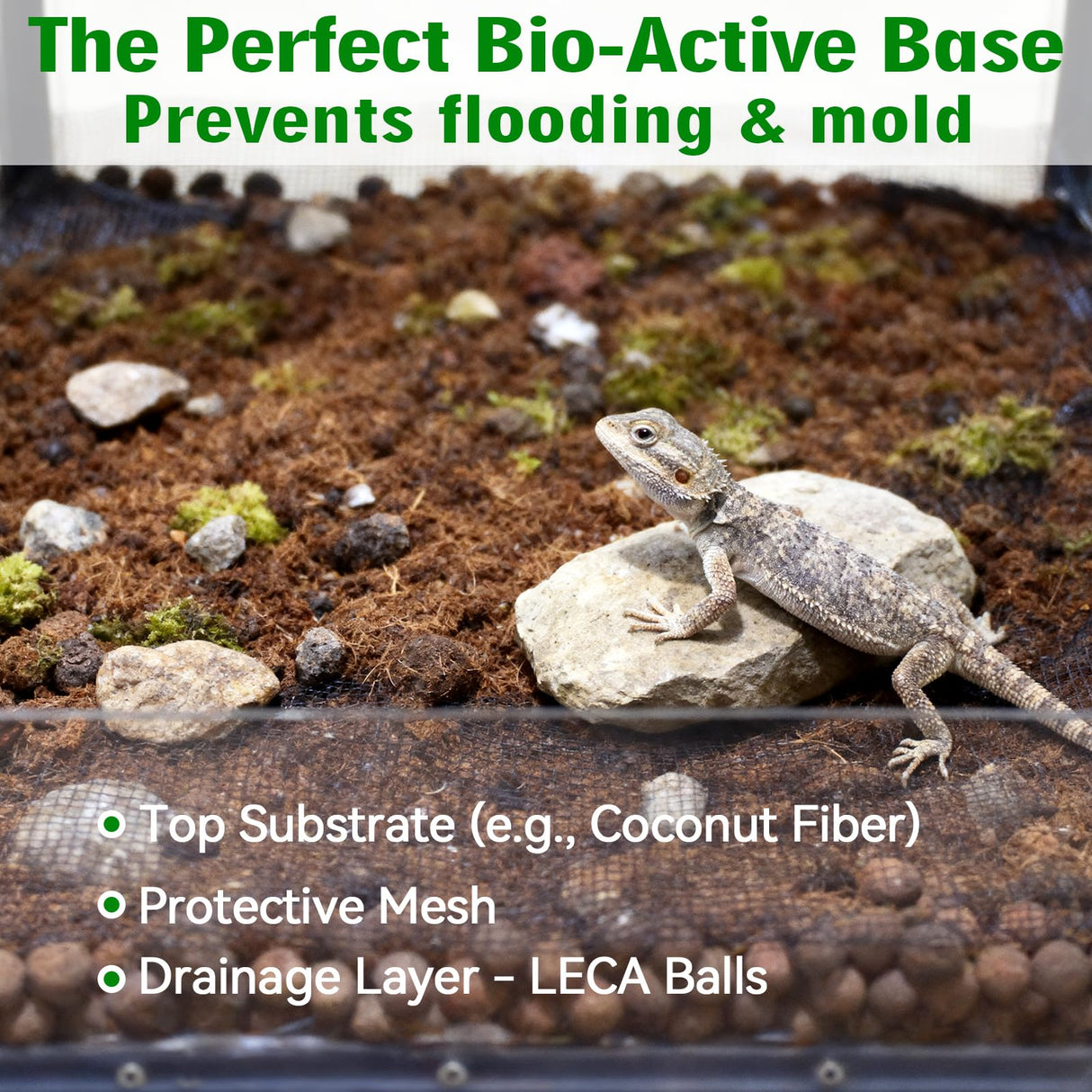 Halatool Reptile Substrate 8QT Leca Clay Pebbles for Reptiles Organic Hydroballs Bioactive Drainage Layer Terrarium Bedding for Leopard Gecko Tortoise Frog Lizard Ball Python