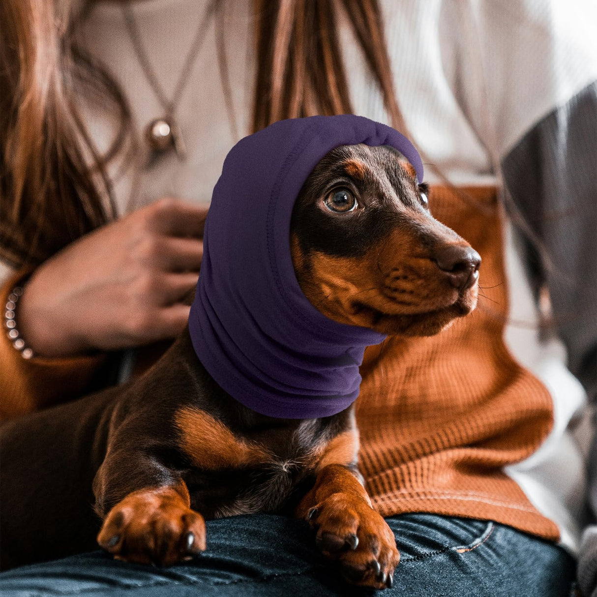 Nanaki Calming Hoodie for Dogs - Adjustable Ear Cover & Anxiety Relief, M Purple | Noise Reduction Head Wrap for Fireworks, Thunderstorms, Grooming, Hematoma Recovery