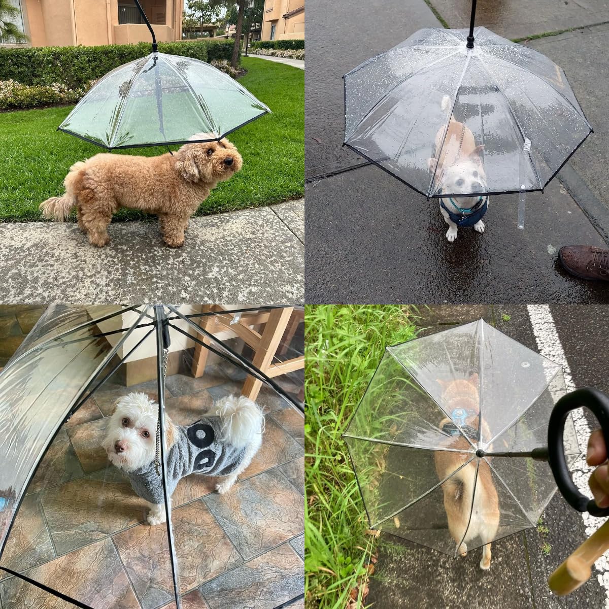 LESYPET Small Dog Umbrella, 29" Width Clear Dogs Umbrella Waterproof Dog Raincoat with Chain Leash for Outdoor Walking Rainy Days