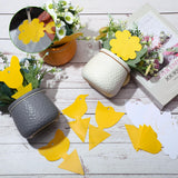 Qualirey 200 Pcs Fruit Fly Traps Fungus Gnat Killer Bug Mosquito Trap Fruit Fly Killer Double Side Sticky Traps Plant Trap Insect Catcher Killer for Indoor Outdoor House Kitchen (Yellow,Exquisite)