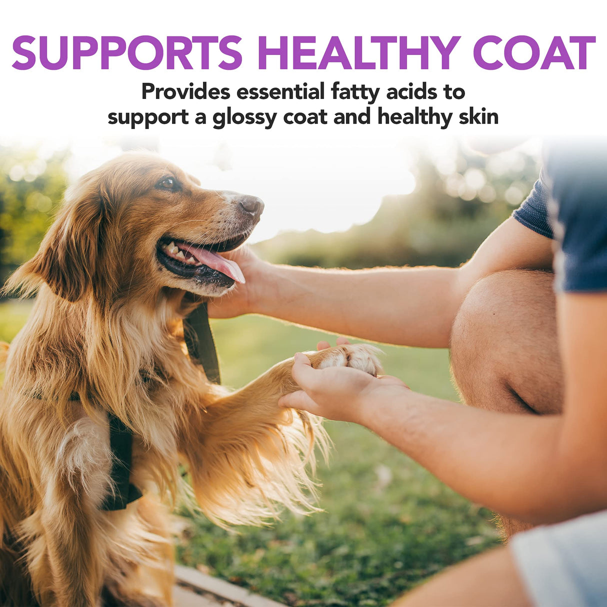 Vet's Best Brewer’s Yeast & Garlic Chews, Omega 3 for Dogs Healthy Skin & Coat Protection for Dogs, Dog Formulated with Veterinary Recommended Dosage, Garlic Supplements, 60 ct