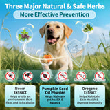 POPPAW Flea and Tick Prevention Support for Dogs, Natural Flea Treatment Drops with Neem, Oregano for Puppy Oral Flea and Tick Treatment Supplement for All Breeds and Ages - Chicken Flavor, 2 FL.Oz
