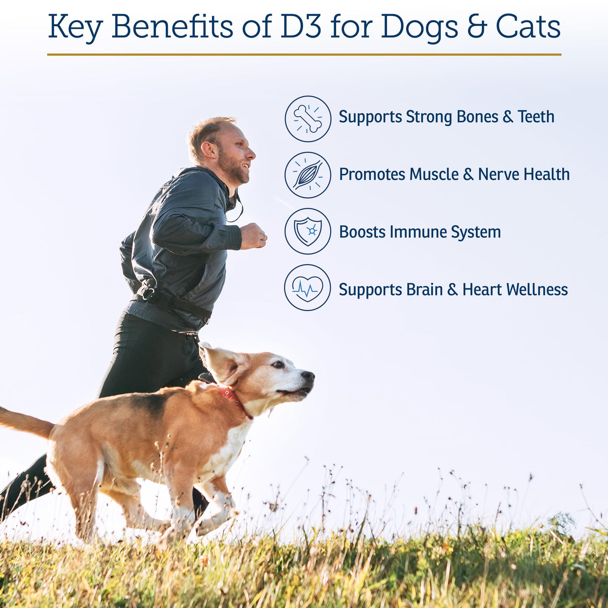 Rx Vitamins Rx D3 - Cat & Dog Vitamins Liquid D3 Drops in MCT Oil - Vitamin D for Dogs & Cats to Manage Deficiency - Aids in Dog Immune Support and Calcium Absorption - Pet Vitamin D3-2oz