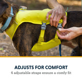 Ruffwear, Trail Runner Running Vest, Performance Dog Running Harness with Hydration Flasks, Reflective Trim & Light Loop, Lightweight Bounce-Free Running Dog Pack, Lichen Green, Small