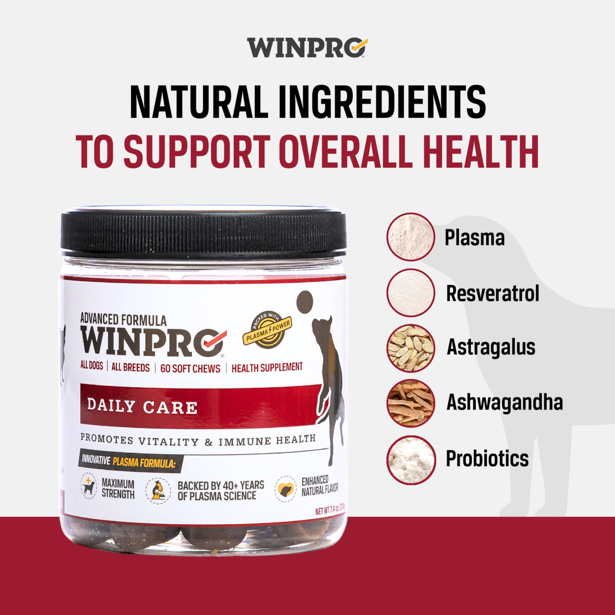 WINPRO Pet Daily Care Chews for Dogs, 60 Soft Chews, Plasma Powered, Grain Free Supplement for Dogs with Probiotics to Support A Healthy Immune System