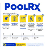 Pool RX 102001 6 Month Swimming Pool Algaecide Replacement, 8 oz, Blue