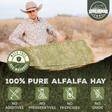 Gold Buckle Co 9lb Farm Fresh, USA Grown, Organic Alfalfa Hay for Rabbits, Guinea Pigs, Chinchillas, Goats, Hamsters & Ferrets - Rabbit Food Rich in Protein & Fiber - Just Dried, Hand-Selected