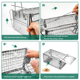 SZHLUX Rat Trap,Mouse Traps Work for Indoor and Outdoor,Small Rodent Animal-Mice Voles Hamsters Cage,Catch and Release(Small), Silver (SZ-SL2614X)
