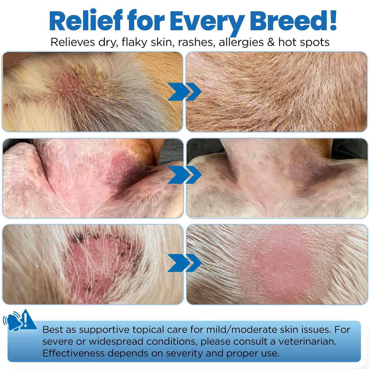 Yibesi Wrinkle Balm for Dog Wrinkles 3 Oz Includes Applicator, Dog Lotion for Dry Itchy Skin Relief, Yeast Infection Treatment, Protects from Cracks & Wounds