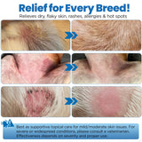 Yibesi Wrinkle Balm for Dog Wrinkles 3 Oz Includes Applicator, Dog Lotion for Dry Itchy Skin Relief, Yeast Infection Treatment, Protects from Cracks & Wounds