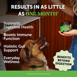 Pet Honesty Probiotics for Dogs - Digestive Enzymes Promotes Gut Health, Dog Probiotics for Bowel Support, Fiber for Regularity, Prebiotics for Immune Health & Gut Flora (Pumpkin, 180 ct)
