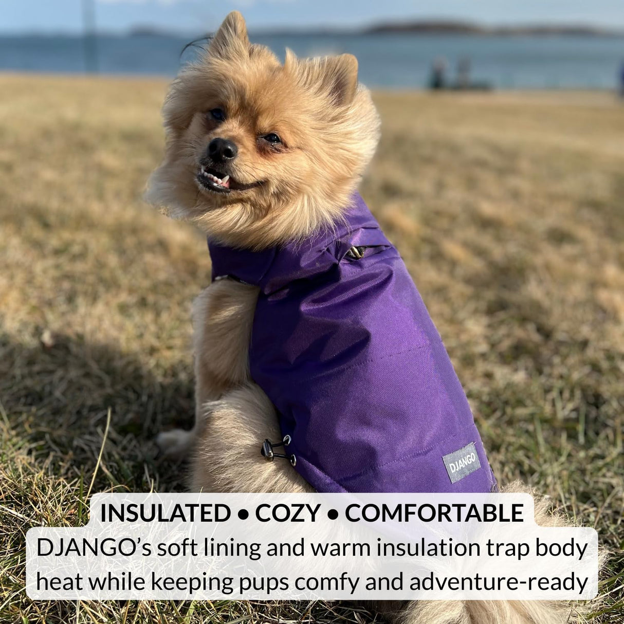 DJANGO Reversible Puffer Dog Coat – Warm Winter Dog Jacket & Water-Repellent Insulated Dog Coat w/Harness Hole, Windproof, Adjustable Fit for Small & Medium Dogs, Dachshunds – Violet Purple, Large