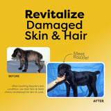 Medical-Strength Hair Skin & Nails Dog Chews | Vitamin A Retinol & B3 Niacinamide for Dogs | EPA Omega 3 for Dog | Relieve Itching, Flaky Skin & Brittle Nails | 90 Chews