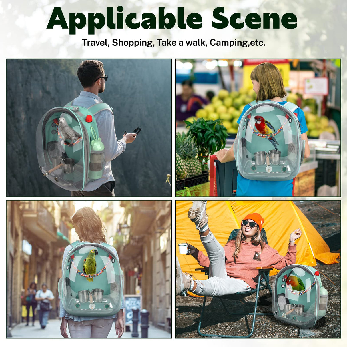 Rypet Bird Carrier Backpack Parrot Portable Breathable Bag Pet Bird Lightweight Travel Cage with Standing Perch and Stainless Steel Tray（Mint Green）
