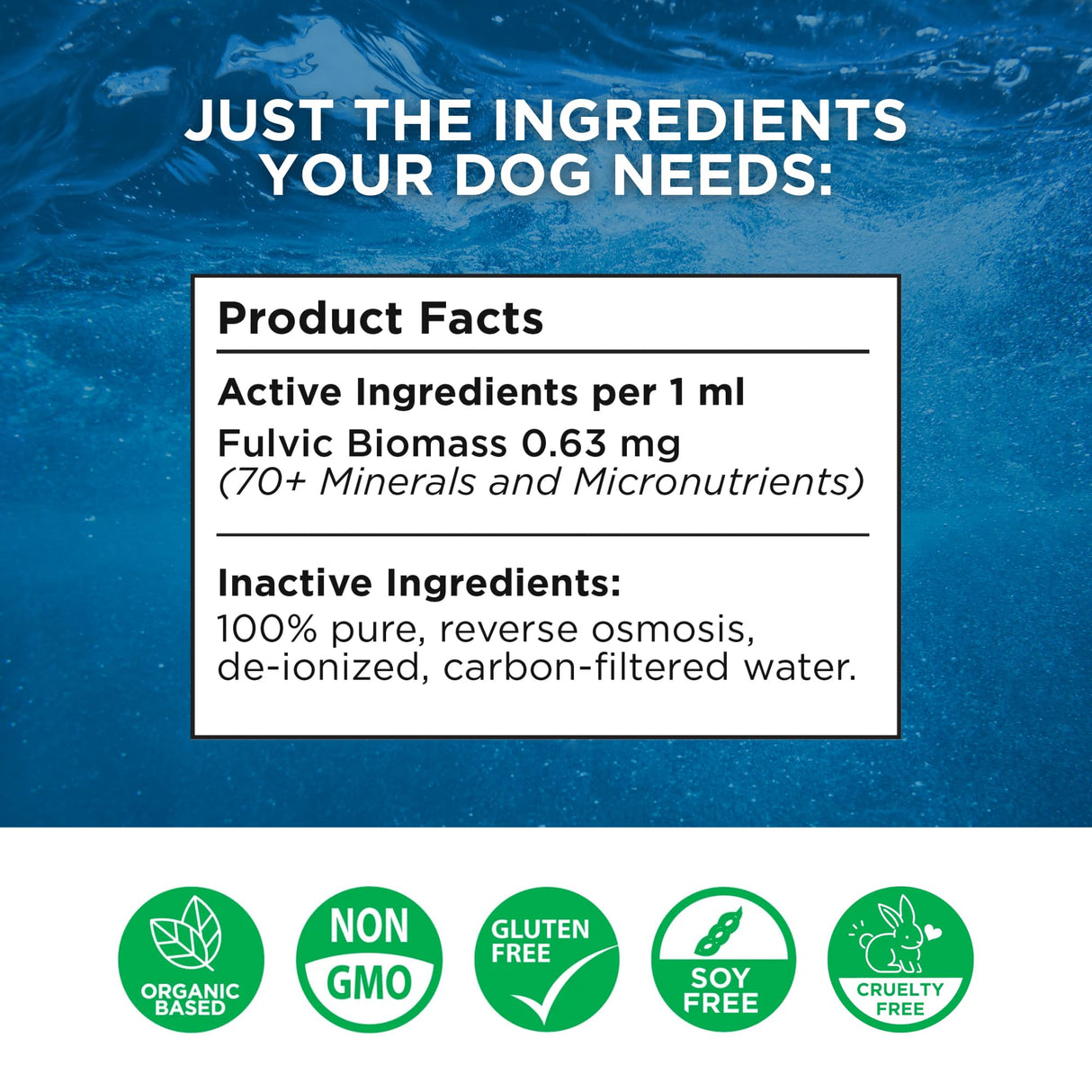 Beam Minerals Complete Canine Electrolytes | Full-Spectrum Electrolytes for Dogs | 12 Fl Oz
