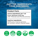 Beam Minerals Complete Canine Electrolytes | Full-Spectrum Electrolytes for Dogs | 12 Fl Oz