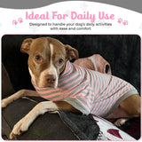 Tooth & Honey Big Dog Stripe Shirt – Pullover with Full Belly Coverage – Pink and Grey Pitbull Shirt for Extra Large Dogs