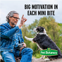 Load image into Gallery viewer, Pet Botanics Training Rewards Treats for Dogs, Made with Real Pork Liver, Focuses, Motivates, Rewards, Speeds Up Learning Curve, No BHA, BHT, Ethoxyquin, Bacon, 20 oz (1 pack)
