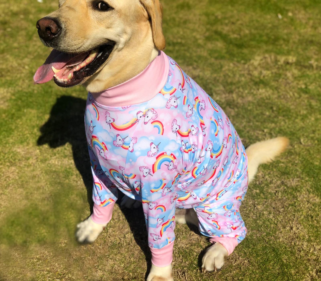 PriPre Dog Surgery Recovery Suit Ice Cream Candy Printed Long Sleeve Shirts Soft Pajamas Onesie Jumpsuit Prevent Licking Dogs Shedding Suit for Large Dogs(Pink,2XL)