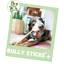 Load image into Gallery viewer, Nature Gnaws Bully Sticks for Dogs 11-12" (8oz) - Mixed Thickness - Long Lasting for Aggressive Chewers and Large Dogs - Natural Beef Dog Chew Bones
