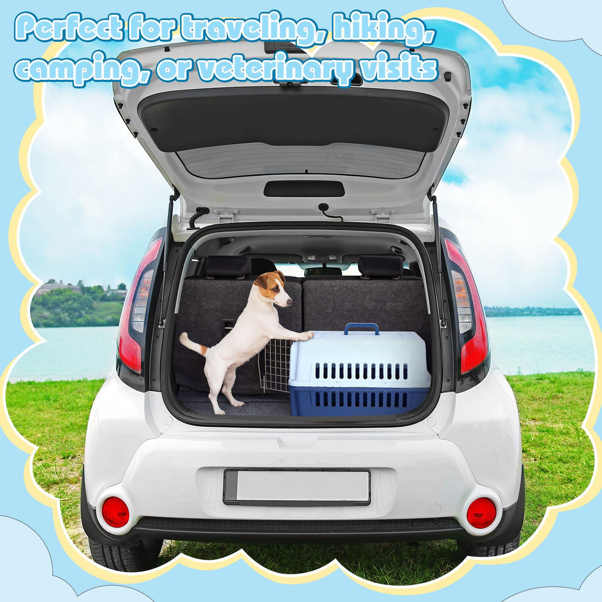 2 Sets 19" Travel Pet Carrier for Small Dogs and Cats Hard-Sided Plastic Dog Crate Cat Kennel with Wire Door, Ventilation and Security Lock Portable Pet Carrier for Car Airline Travel, Up to 13lbs
