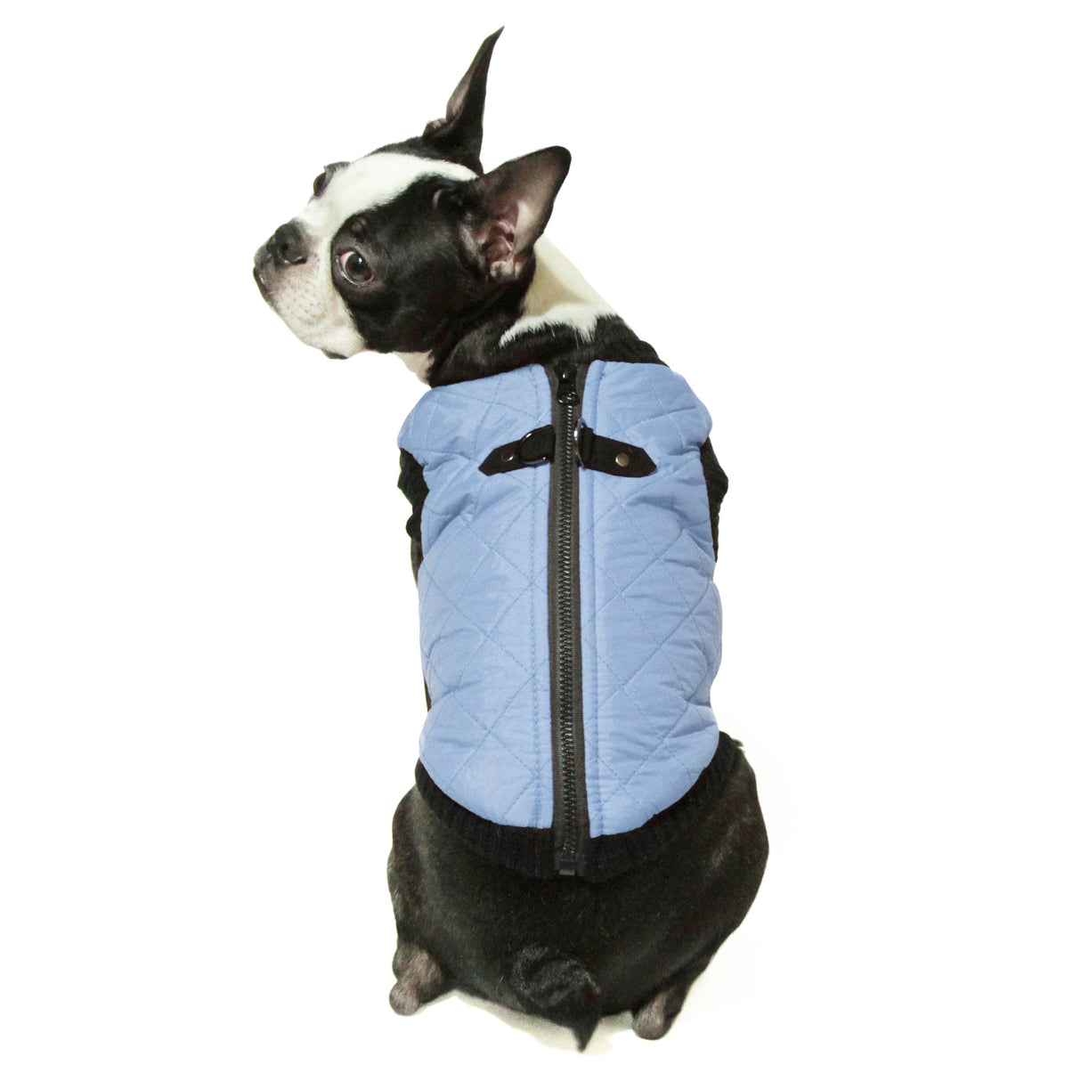 Gooby Fashion Vest Dog Jacket - Gray, Medium - Warm Zip Up Bomber Vest with Dual D Ring Leash - Winter Water Resistant Small Sweater - Clothes for Small or Medium Dogs